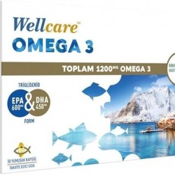 Wellcare Omega 3 Balık Yağı Kapsül